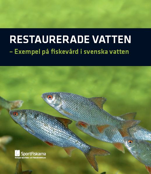 Bok - Restaurerade vatten